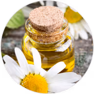 Rosehip Oil